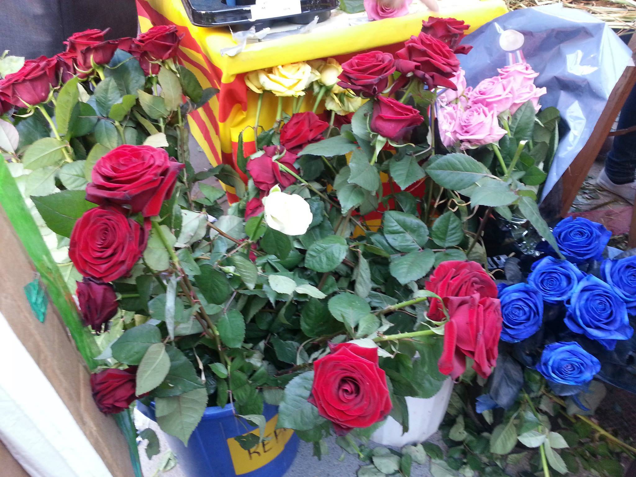 Rosas en Sant Jordi en Barcelona